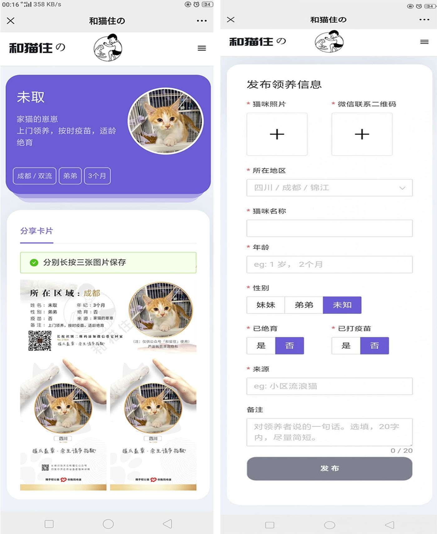 流浪猫流浪狗领养源码第2张-快乐分享